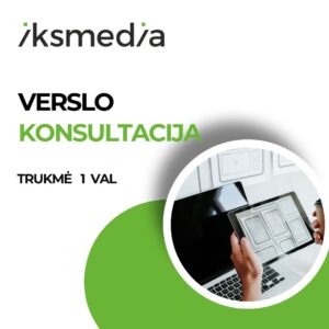 Verslo konsultacija